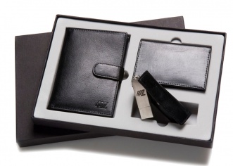 Подарочный набор бумажник водителя, визитница и USB в кожаном чехле